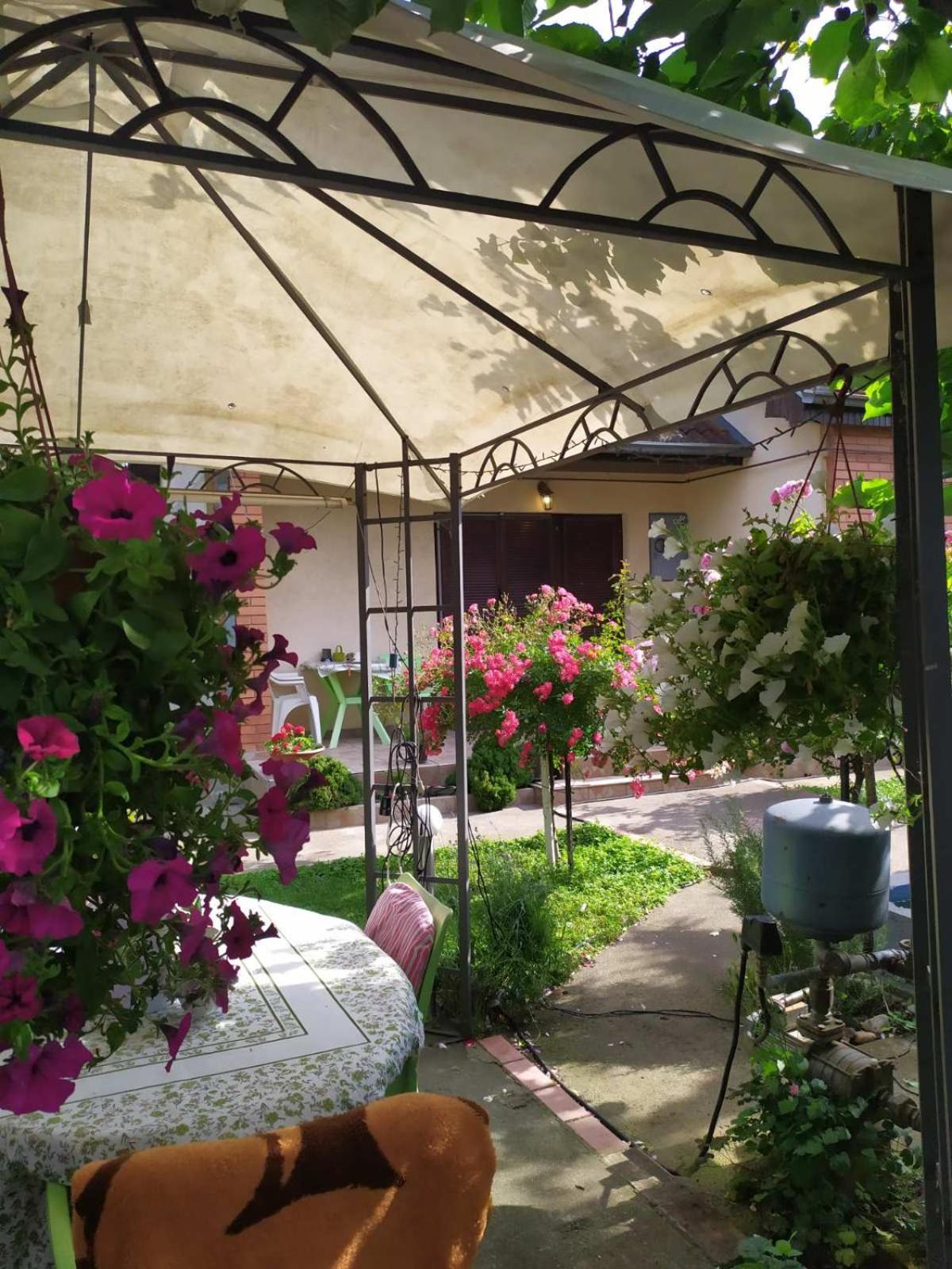 Apartment Ljupka Pančevo Exterior foto